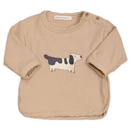 MAGLIA BASSOTTO