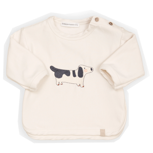 MAGLIA BASSOTTO