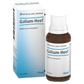 GALIUM-HEEL - gocce